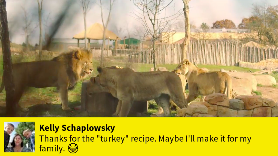 Thumbnail for Nat Geo WILD’s Savage Thanksgiving (Facebook Live)