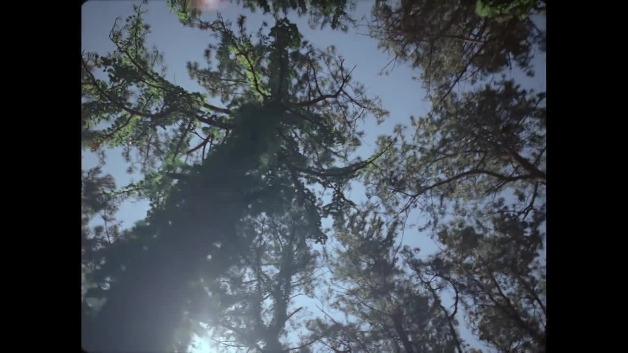 Thumbnail for Never Still l Nobu Mastuhisa - Director's Cut