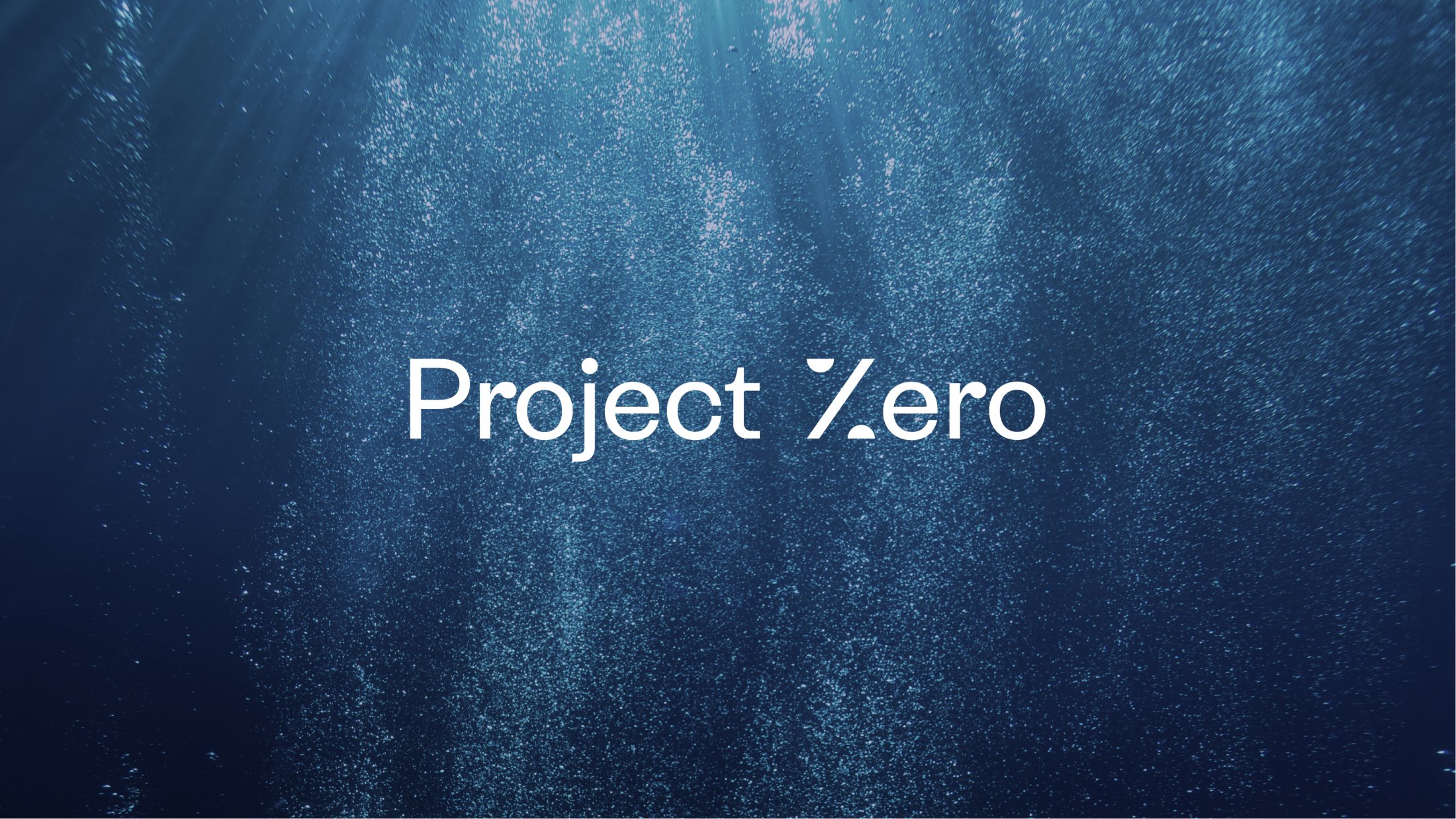 Thumbnail for Project Zero