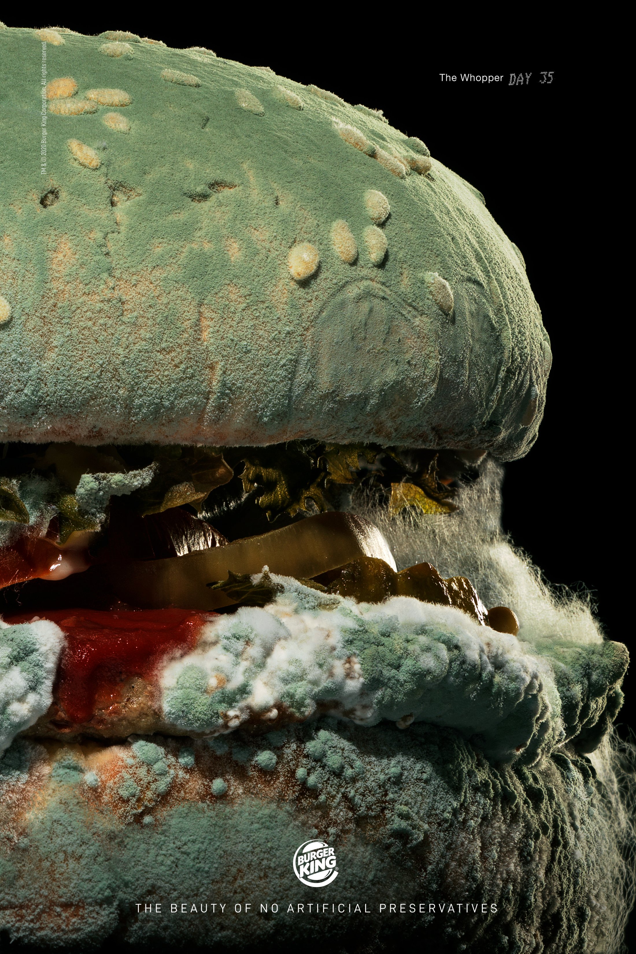 Thumbnail for BK Moldy Whopper 