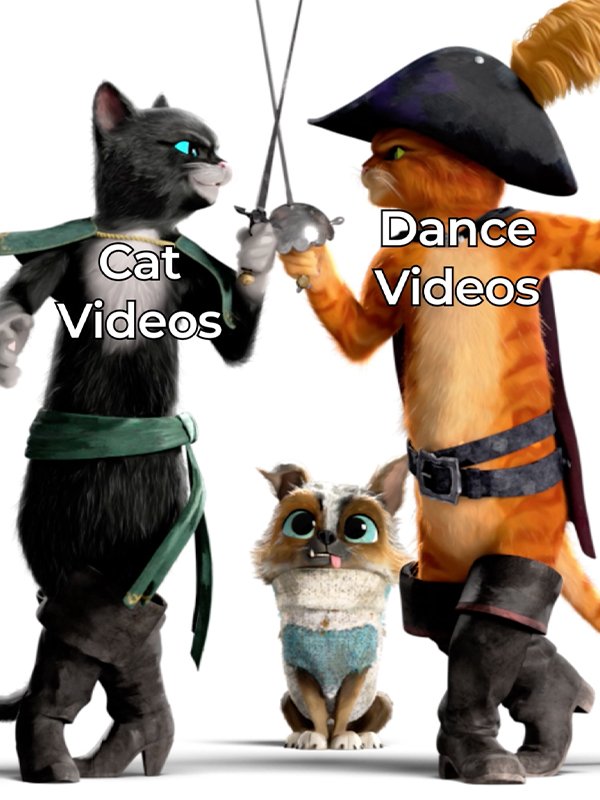 Thumbnail for The Fierce Feline Joins TikTok (4)