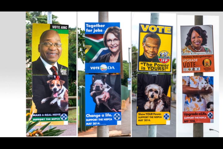 Thumbnail for Vote NSPCA